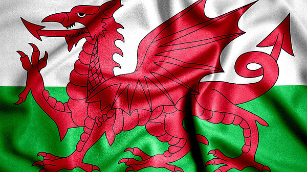 Welsh dragon.