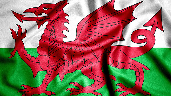 Welsh dragon.
